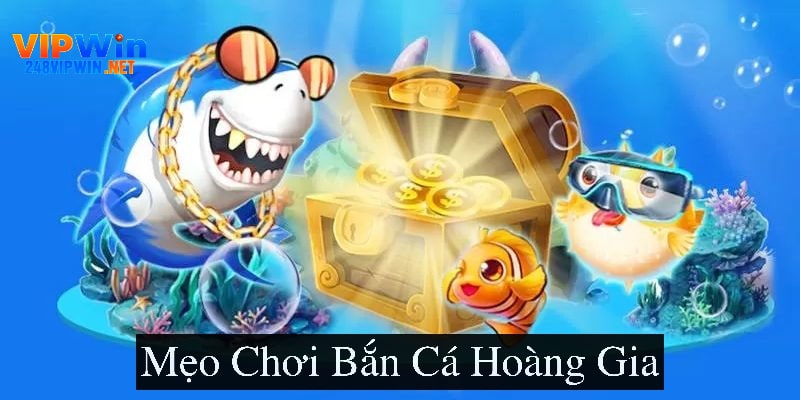 Mẹo chơi bắn cá hoàng gia