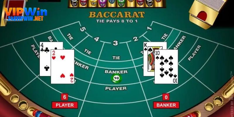 Không nên all in cược vào một cửa baccarat bất kì