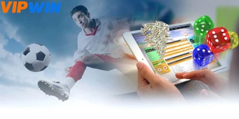 Thể thao cung cấp dữ liệu đầy đủ về các giải đấu bóng đá hàng đầu